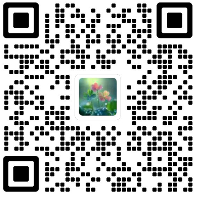 Annals of Applied Mathematics杂志模板